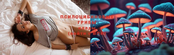 винт Богданович