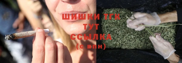винт Богородицк