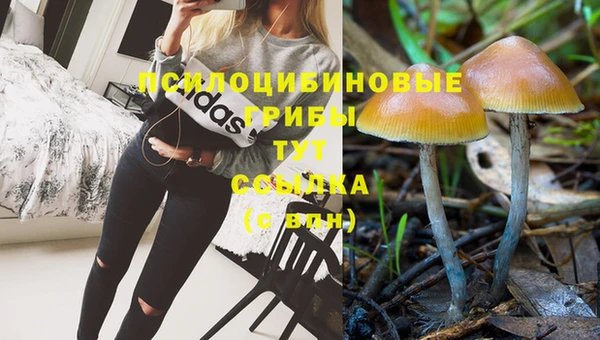 винт Богородицк