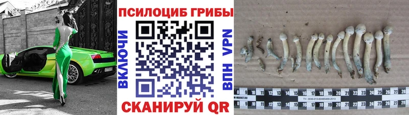 Галлюциногенные грибы мухоморы  Ворсма 