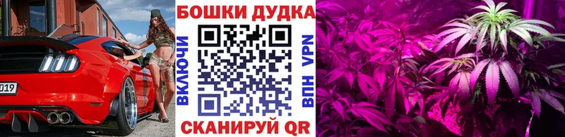 Марихуана MAZAR где продают Ворсма